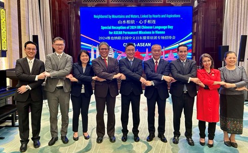 20240607 UN Chinese Language.jpg